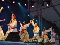 Festival de Folkore en Mula